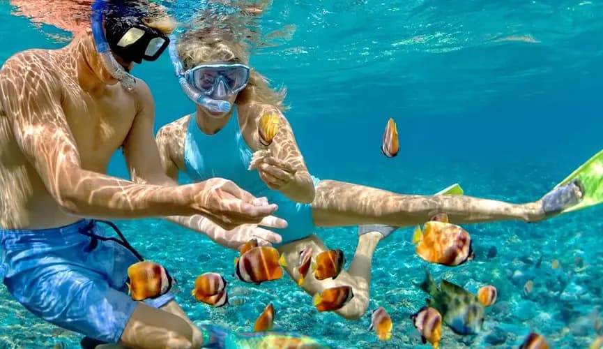 Snorkeling in Egypt: A Guide to Egypt's Underwater Wonders