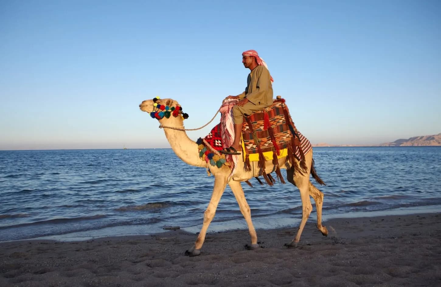 Sharm El Sheikh