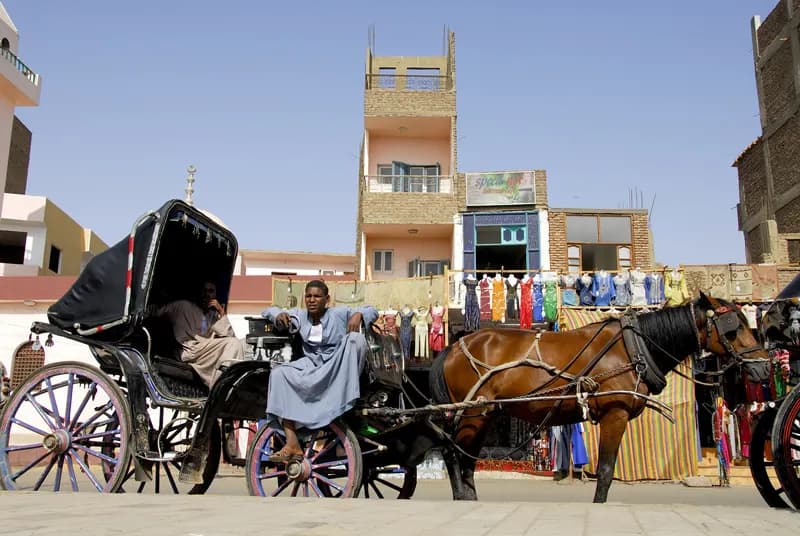 Aswan City Tour in Horse Carriage thumbnail 4