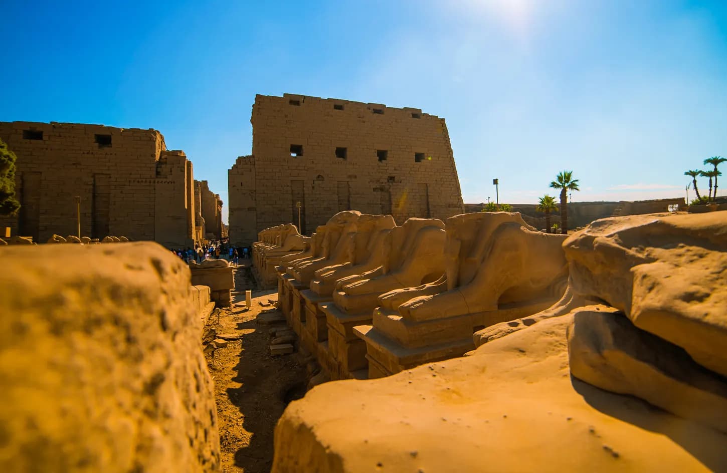 7 Days Cairo & Nile Cruise Tour Package thumbnail 2