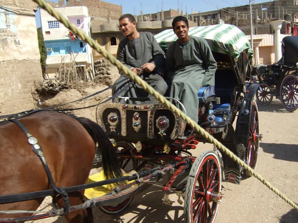 Aswan City Tour in Horse Carriage 8