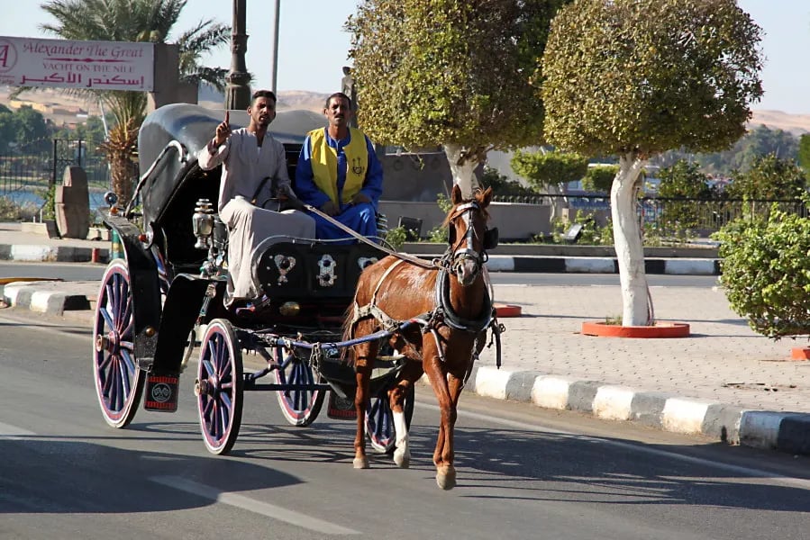 Aswan City Tour in Horse Carriage 2