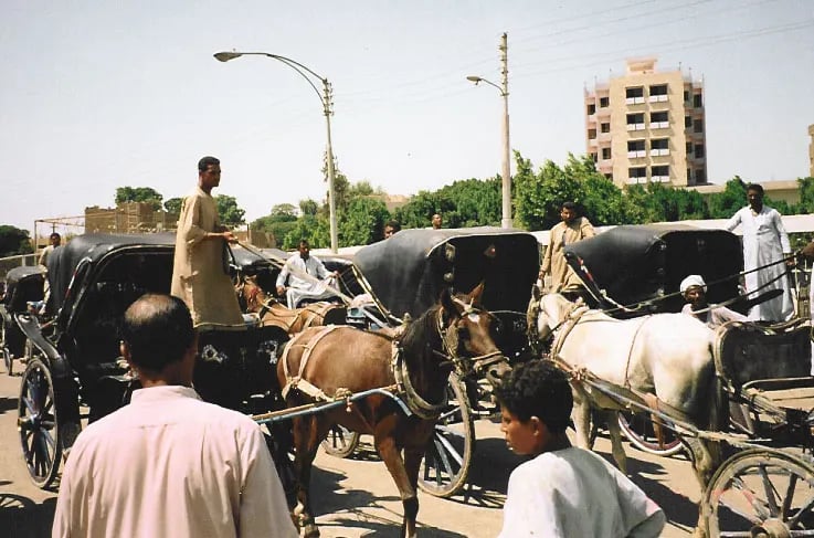 Aswan City Tour in Horse Carriage 3