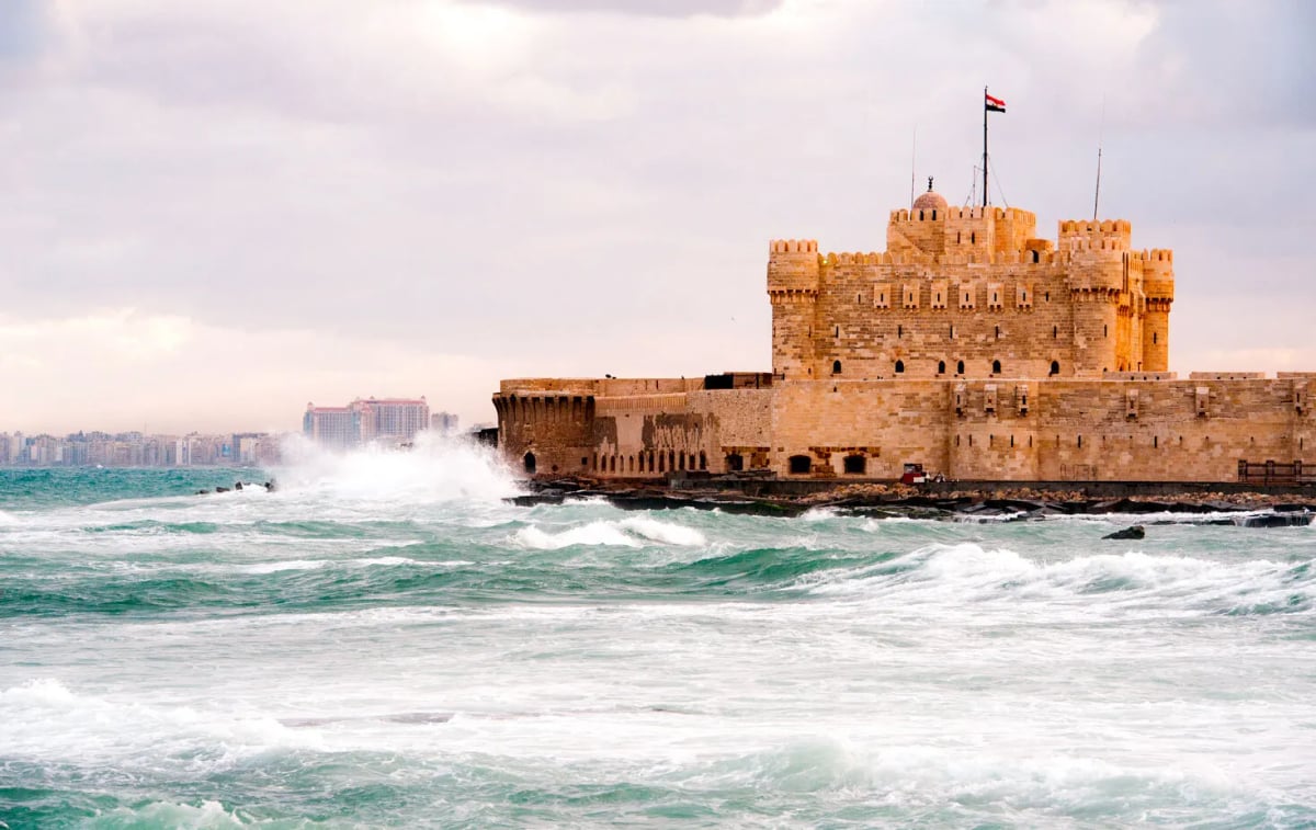 Day Tour Visiting Alexandria City 1